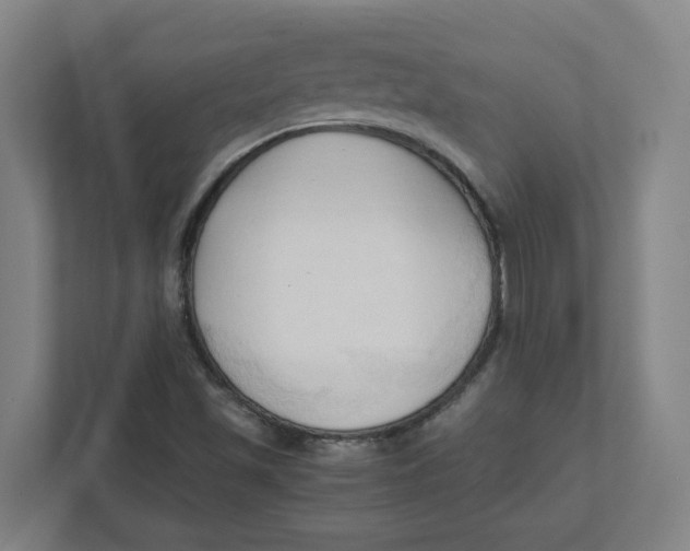 X0000111951501200908171307