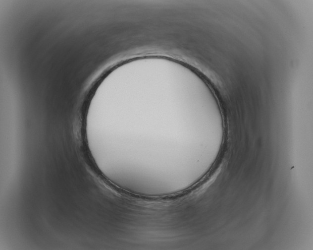 X0000111951502200908171307