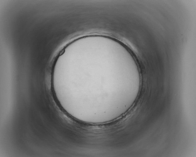 X0000111951504200908171307