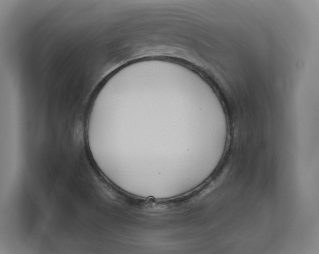 X0000111951505200908171307