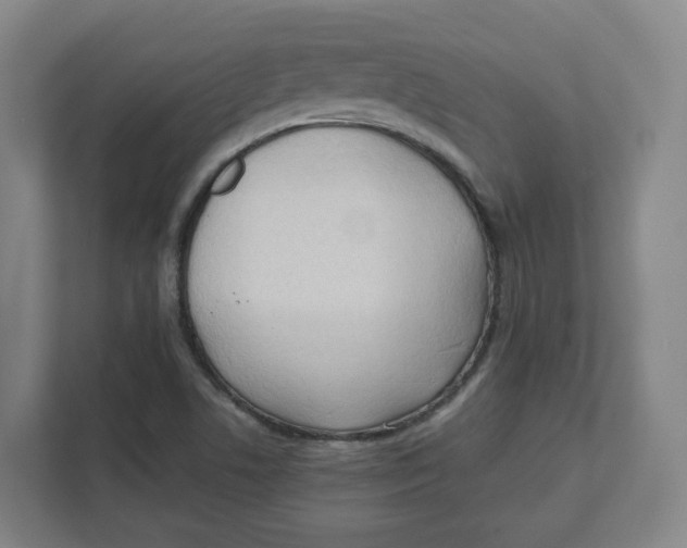 X0000111951506200908171307