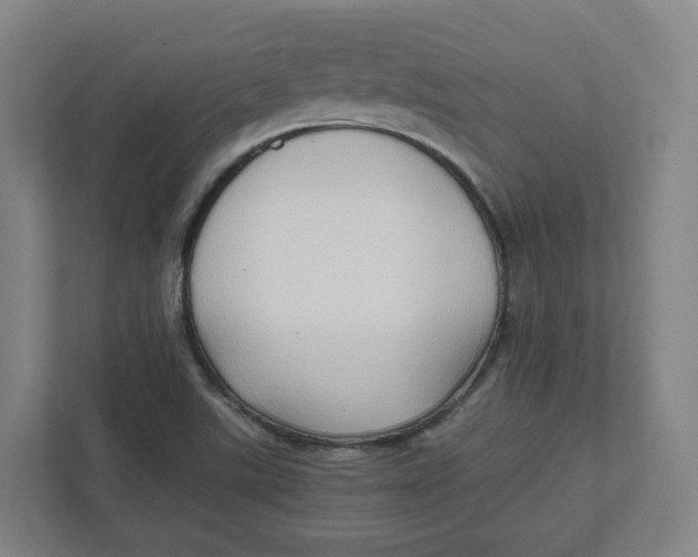 X0000111951507200908171307