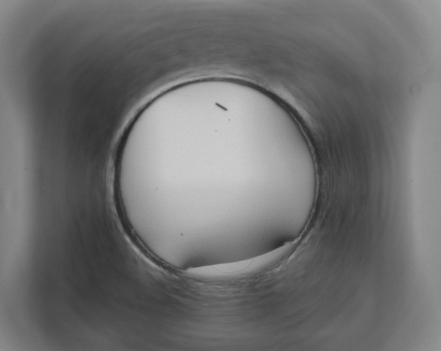 X0000111951508200908171307