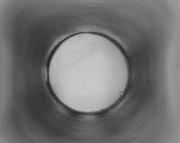 X0000111951509200908171307