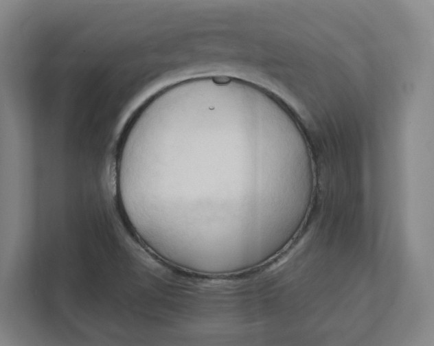 X0000111951510200908171307