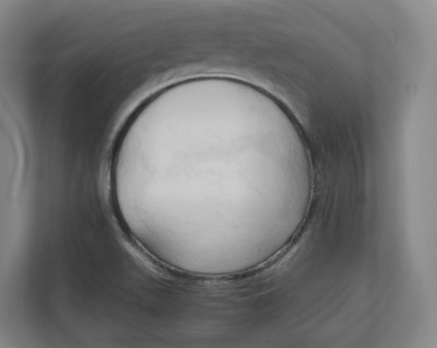 X0000111951511200908171307