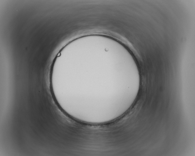 X0000111951512200908171307