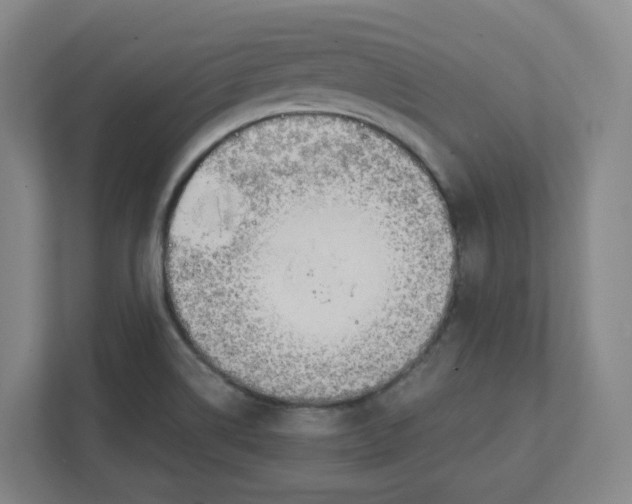 X0000111951514200908171307