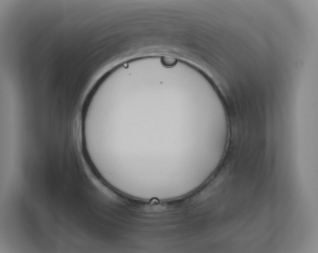 X0000111951515200908171307