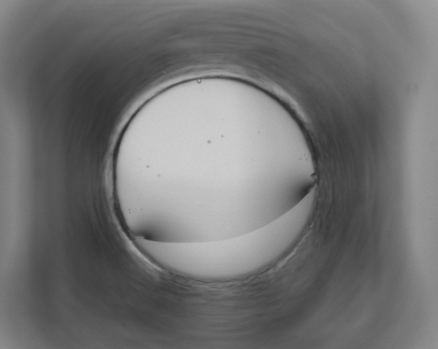 X0000111951516200908171307