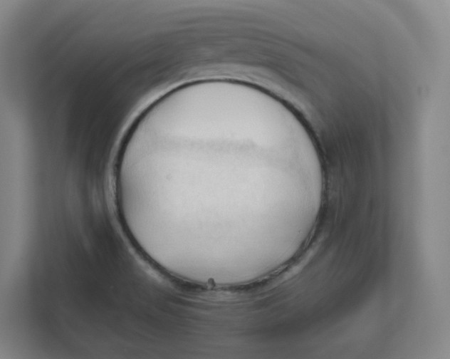 X0000111951517200908171307