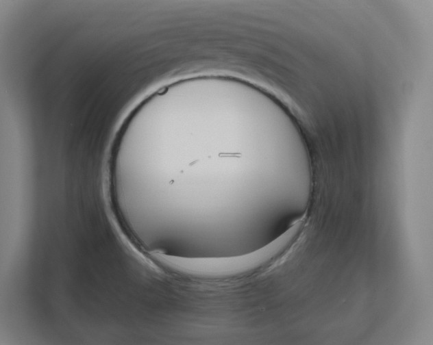 X0000111951518200908171307