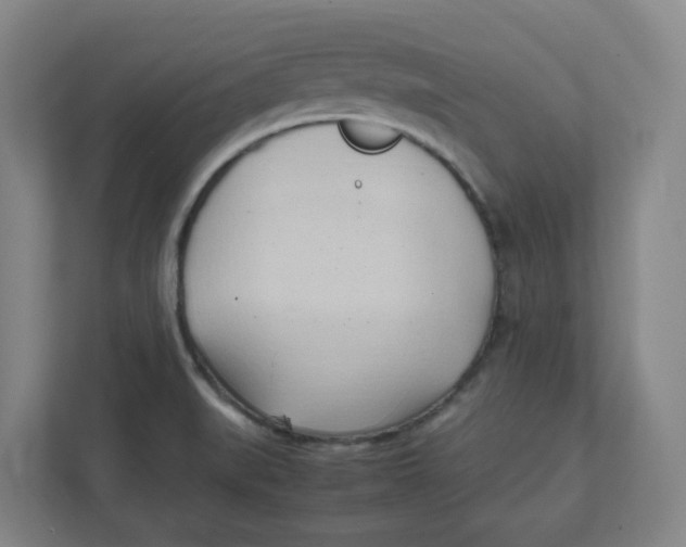 X0000111951519200908171307