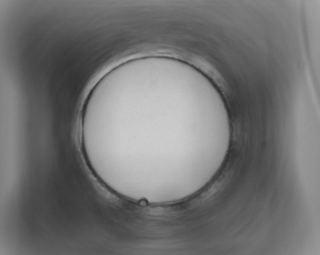 X0000111951520200908171307