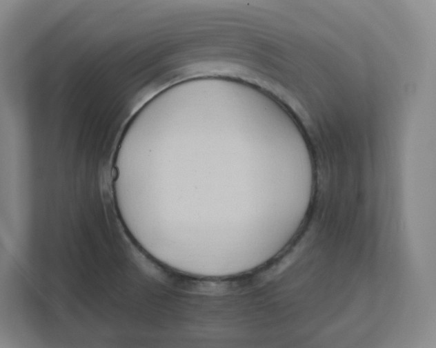 X0000111951521200908171307