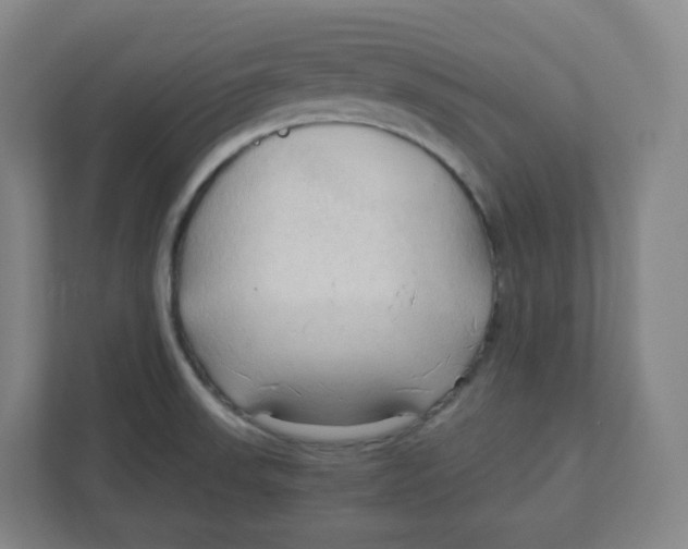 X0000111951523200908171307