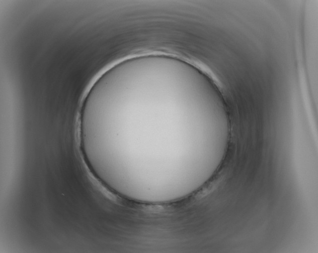 X0000111951524200908171307