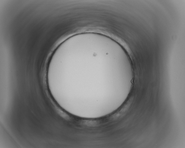 X0000111951525200908171307