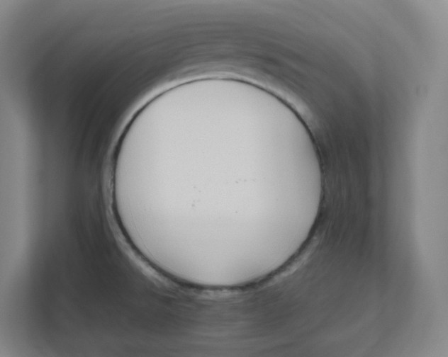 X0000111951526200908171307