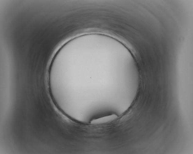 X0000111951527200908171307