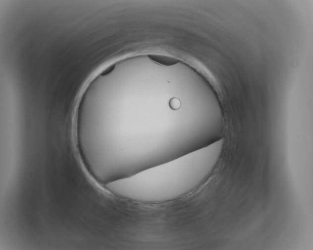 X0000111951528200908171307