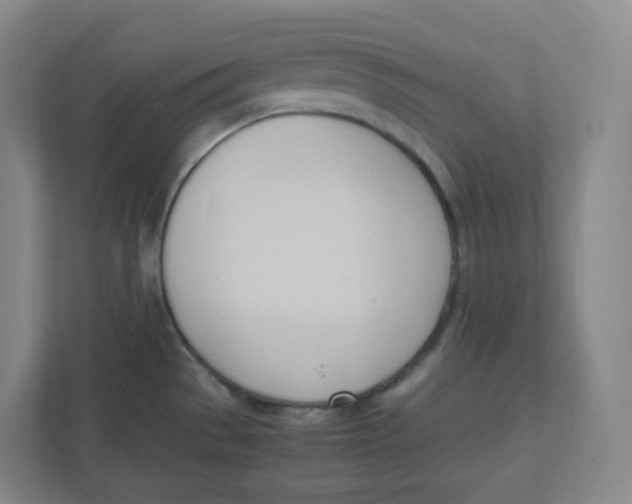 X0000111951529200908171307