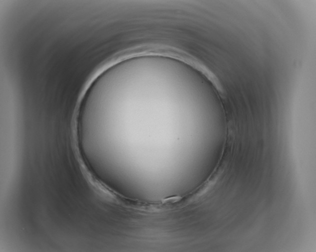 X0000111951530200908171307