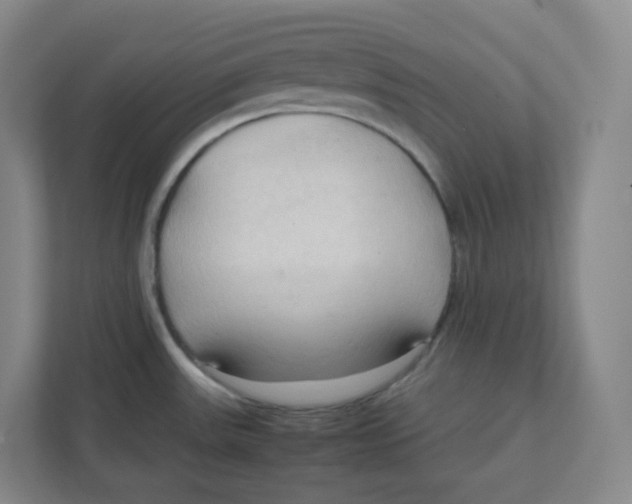 X0000111951531200908171307