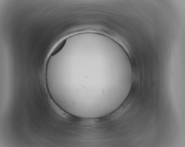 X0000111951532200908171307