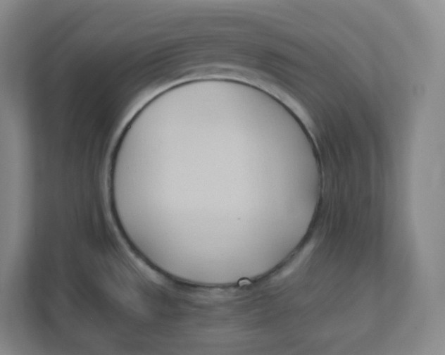 X0000111951533200908171307