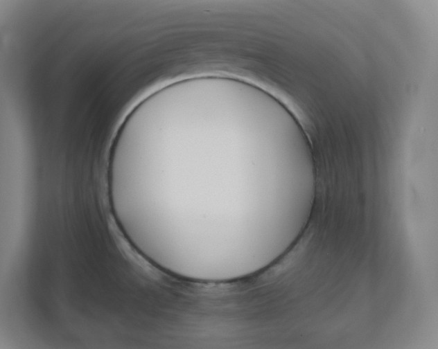 X0000111951534200908171307