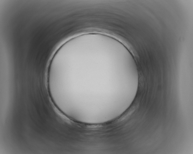 X0000111951535200908171307