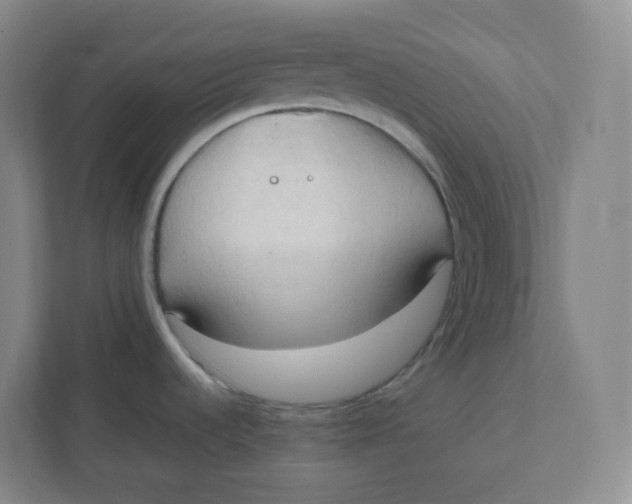 X0000111951536200908171307