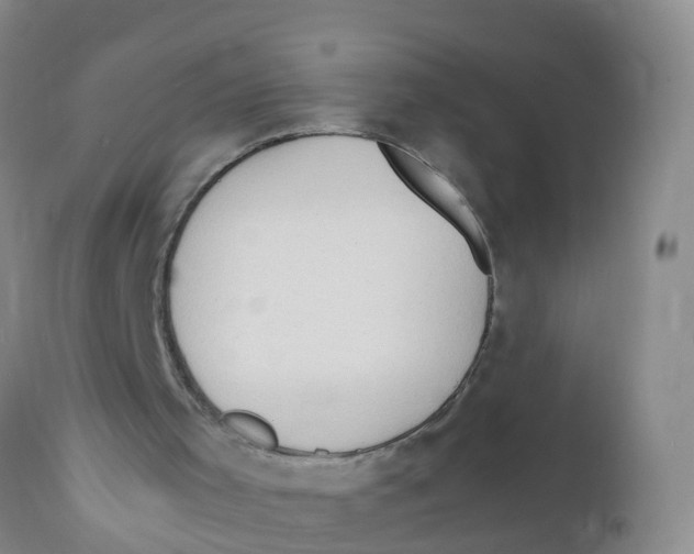 X0000111950001200908241215