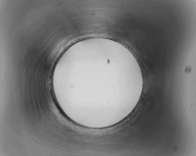 X0000111950002200908241215