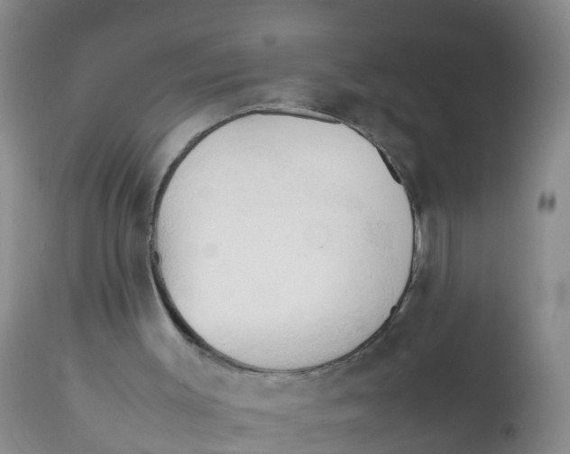 X0000111950003200908241215