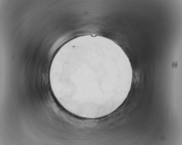 X0000111950004200908241215