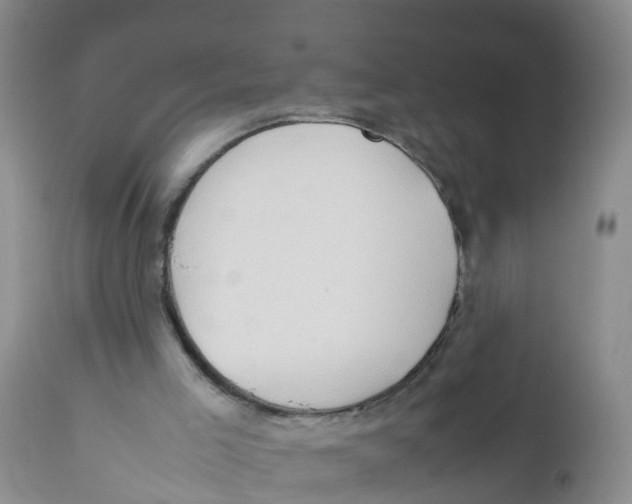 X0000111950005200908241215