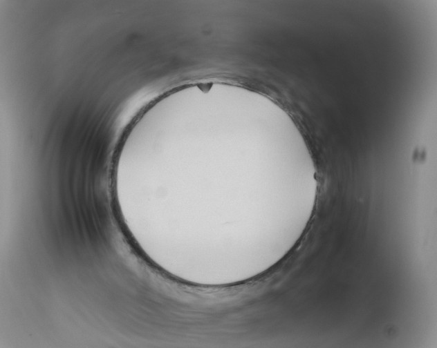 X0000111950006200908241215