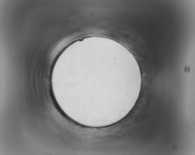 X0000111950007200908241215