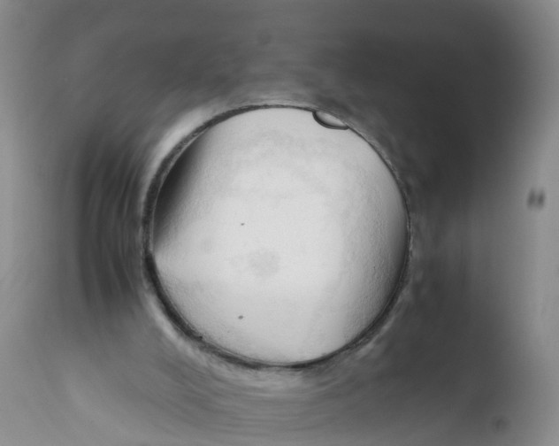 X0000111950008200908241215