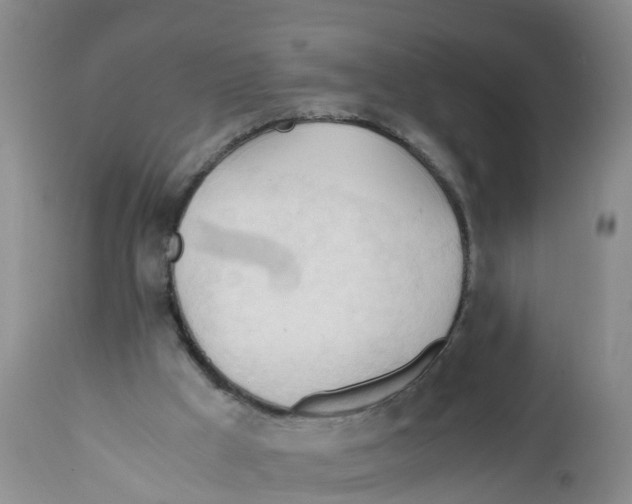 X0000111950009200908241215