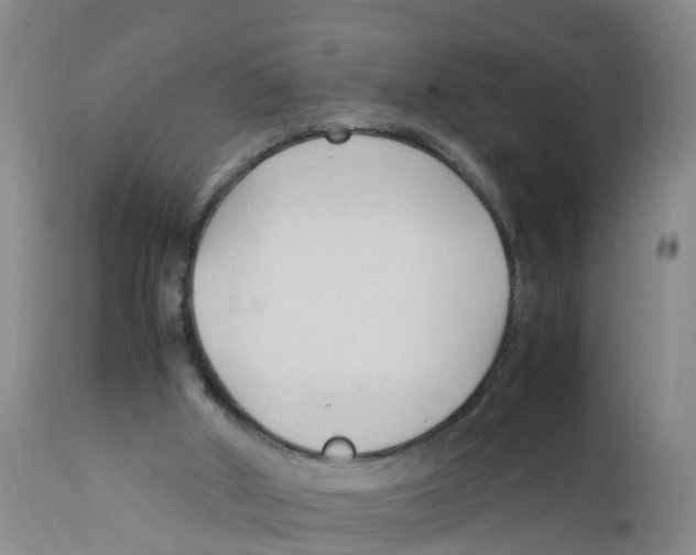X0000111950010200908241215