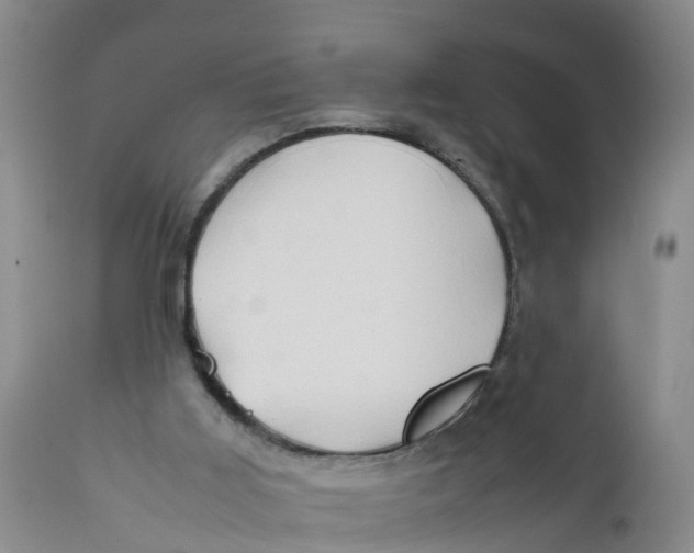 X0000111950011200908241215