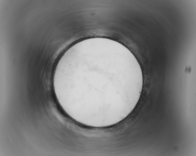 X0000111950012200908241215