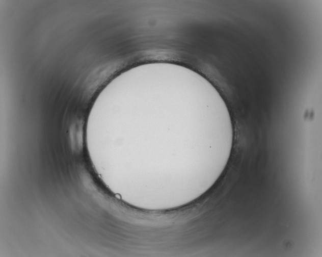 X0000111950014200908241215