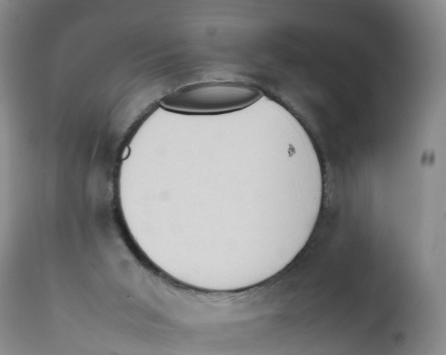 X0000111950015200908241215