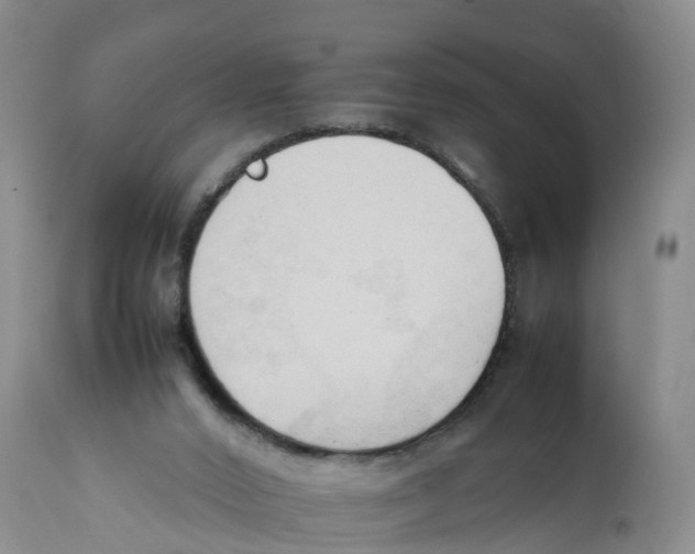 X0000111950016200908241215