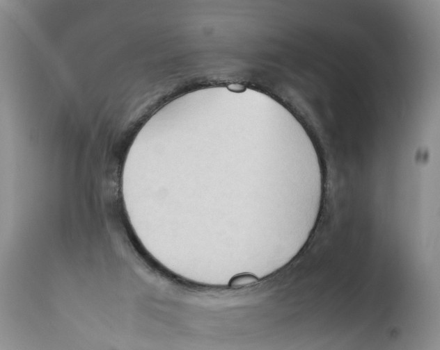 X0000111950017200908241215