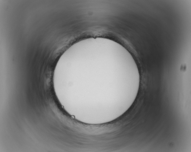 X0000111950018200908241215